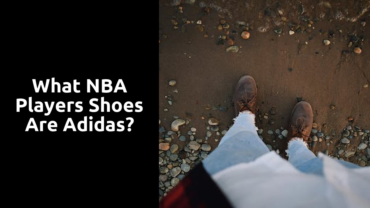 What NBA players shoes are Adidas?